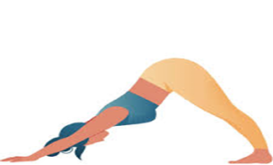 Gambar gerakan Adho Mukha Svanasana